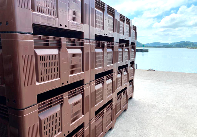Contenedores PEHD de 400 litros apilados en el muelle