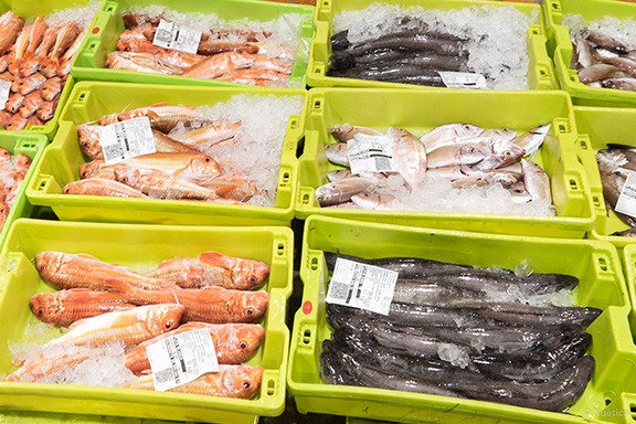 Cajas de plástico para alimentos