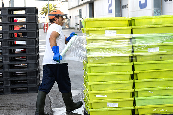 Cajas de plástico para alimentos